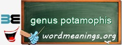 WordMeaning blackboard for genus potamophis